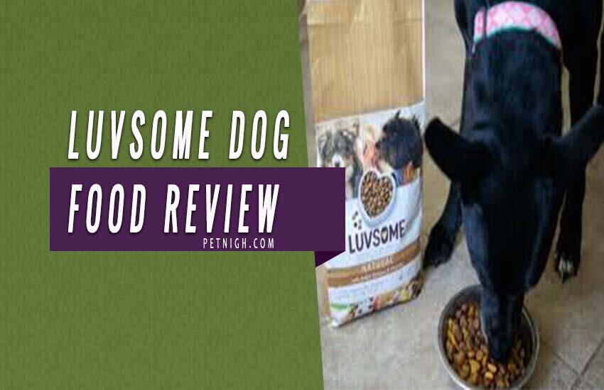 Luvsome dog food review