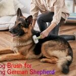 A Review on Best Dog Brush for Shedding German Shepherd