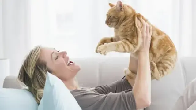 Manfaat dan Risiko Memelihara Hewan